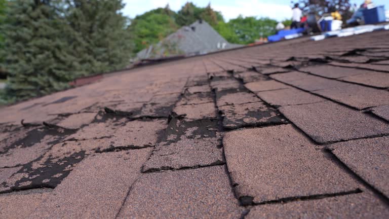 Best Steel Roofing  in Iola, WI